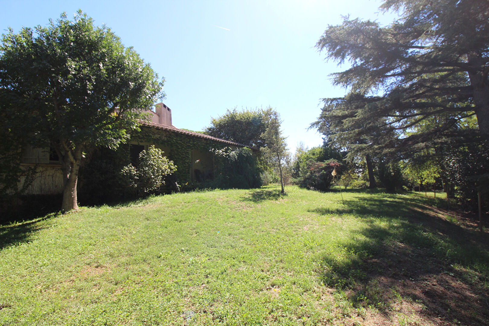 Photo Mas de 450m² sur terrain de 5600m²  sur Saint Martin de Crau image 3/6