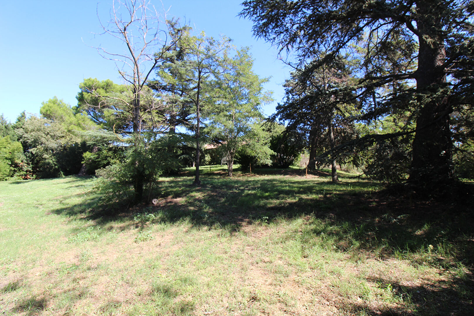 Photo Mas de 450m² sur terrain de 5600m²  sur Saint Martin de Crau image 6/6