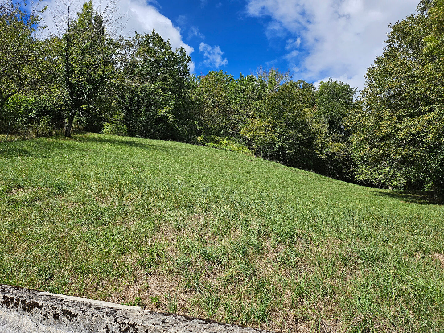 Photo TENAY image 4/6