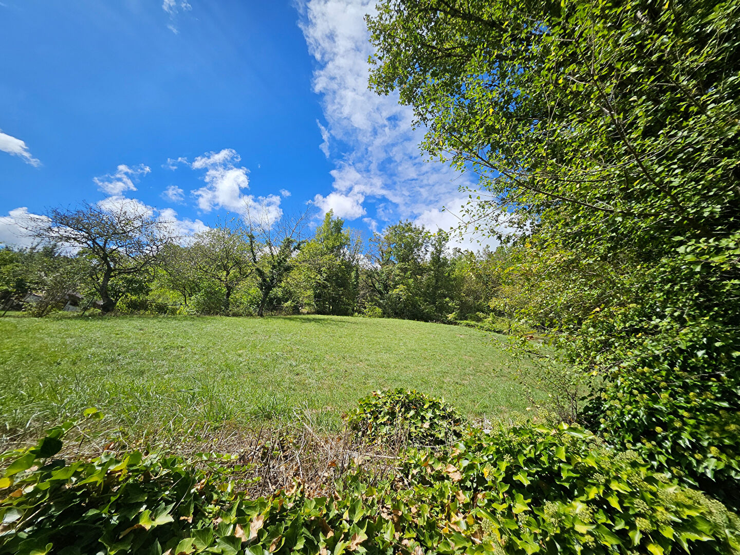 Photo TENAY image 5/6