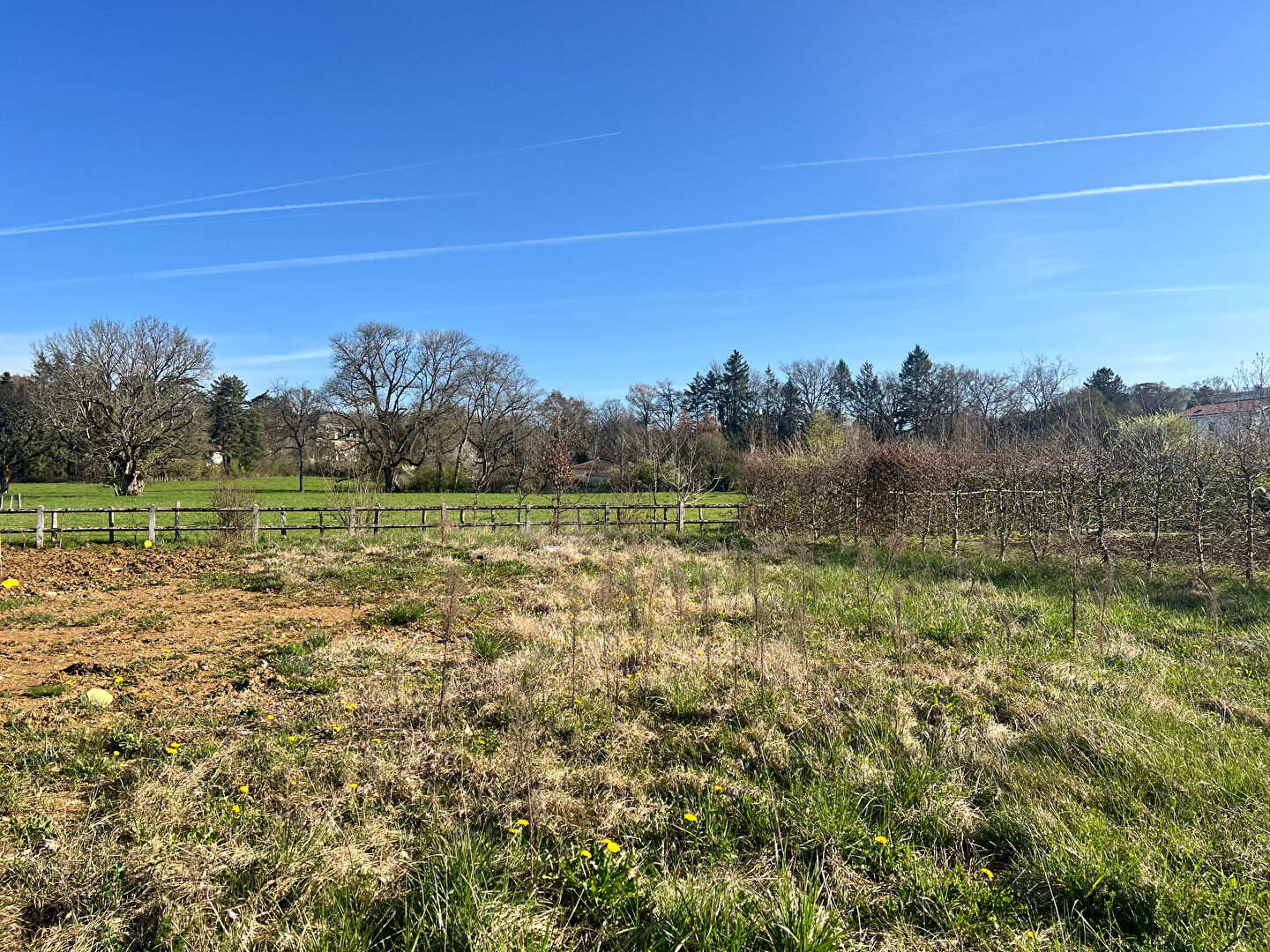 Photo JUJURIEUX image 1/2