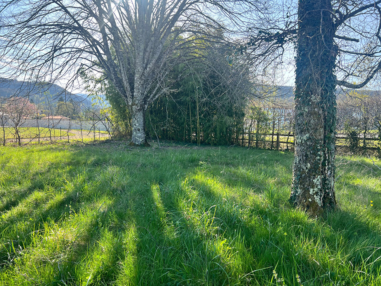 Photo JUJURIEUX image 1/2