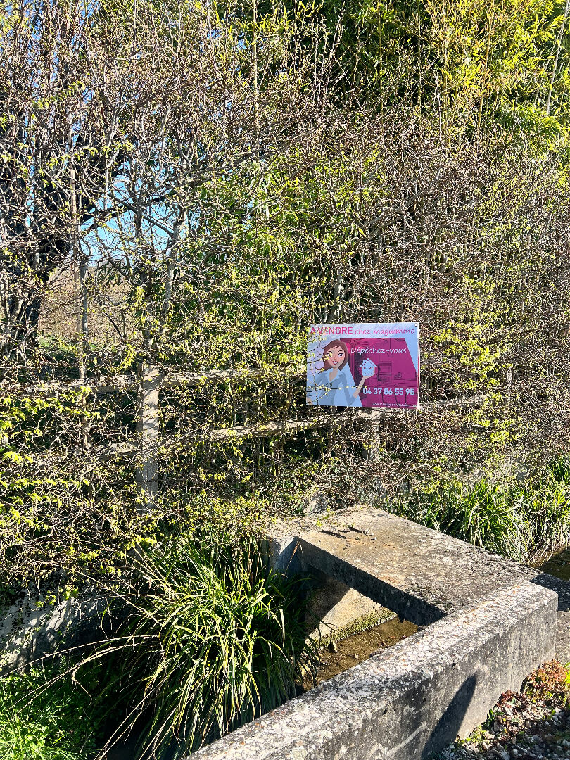 Photo JUJURIEUX image 2/2