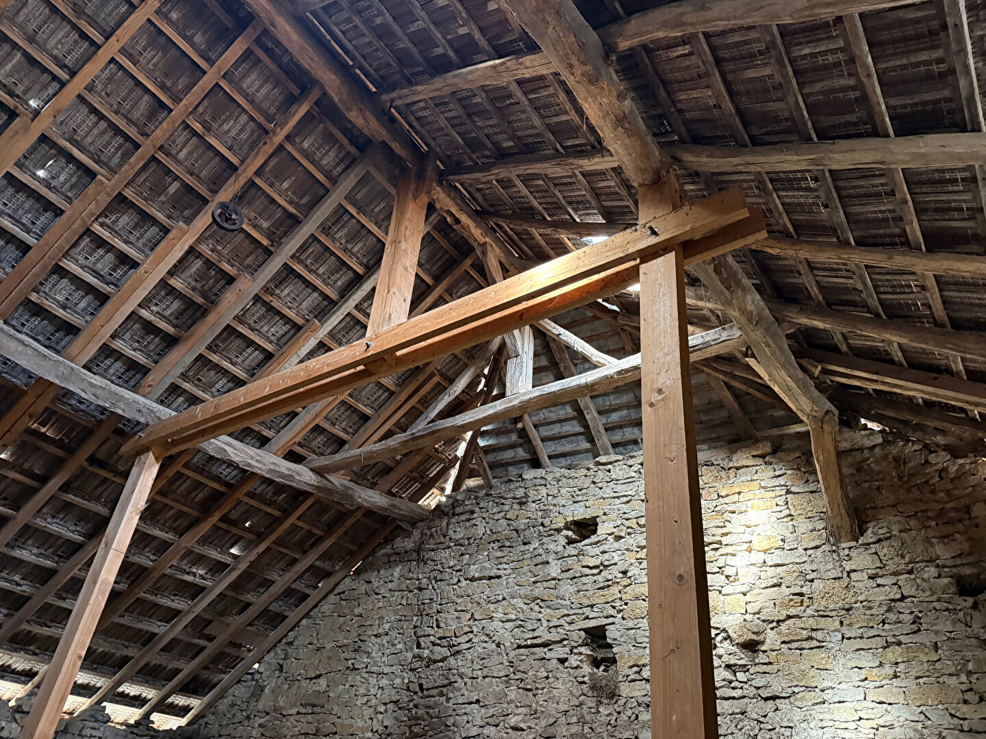 Photo ARANDAS image 4/6