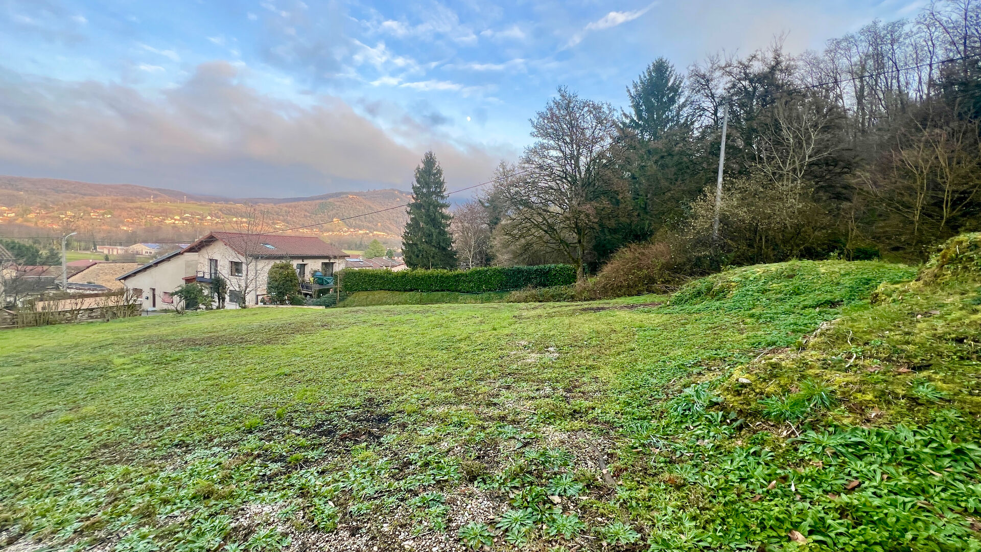 Photo Bettant image 1/3