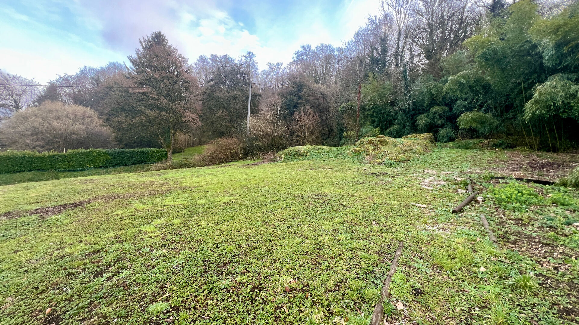 Photo Bettant image 2/3