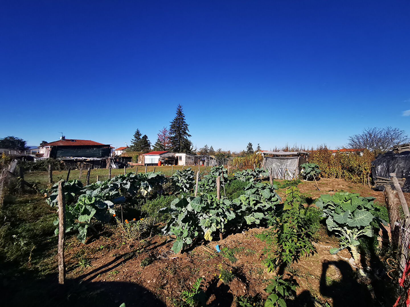 Photo Terrain Marclopt 1060 m2 image 2/2