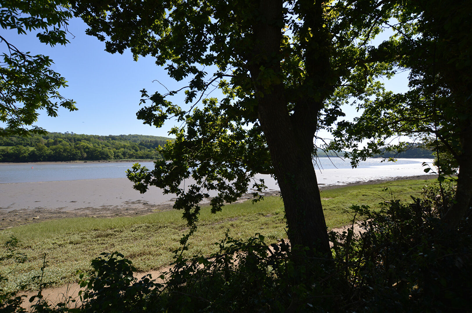 Photo Maison La Forest Landerneau 8 pièce(s) 144 m2 image 3/6