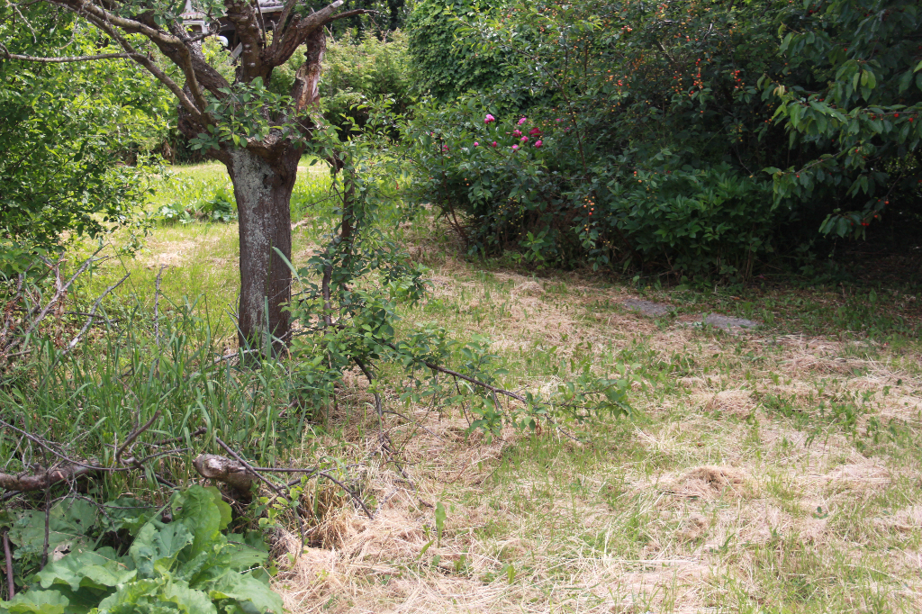 Photo Centre ville, beau terrain à bâtir image 2/2