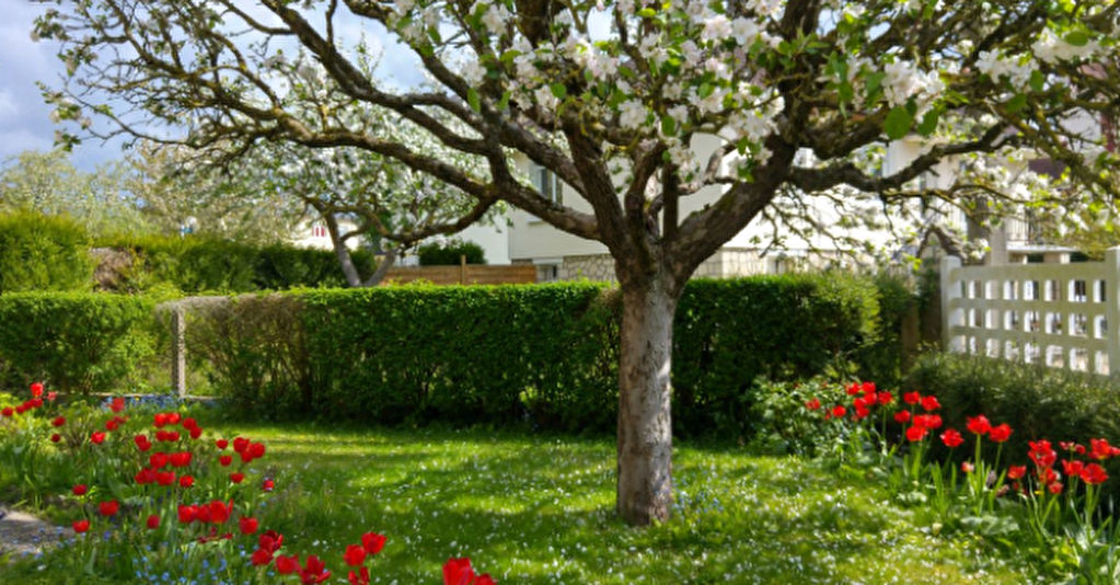 Photo Pavillon 80m2 - 150 m du Centre ville Gisors image 2/2