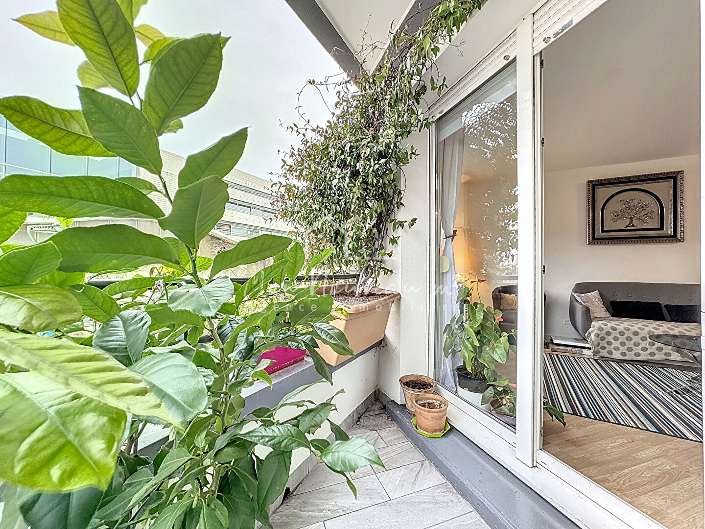 Agence immobilière de 
 MON NOUVEAU M2 Noisy le grand - MON NOUVEAU M2 
