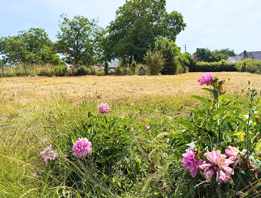 Photo Façade denviron 22 m  terrain constructible à Masny image 2/2