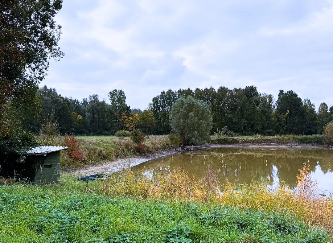 Terrain de loisirs environ 5 125 m² avec hutte et étang