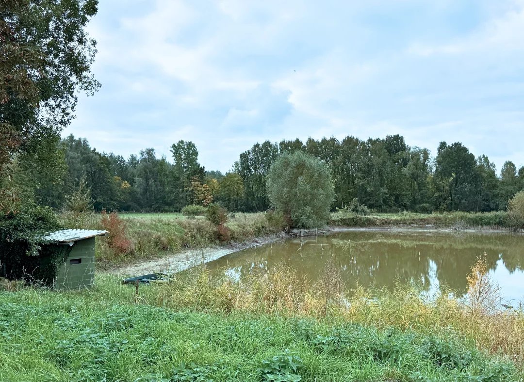 Rare : terrain (env. 5 125 m2) + étang + hutte