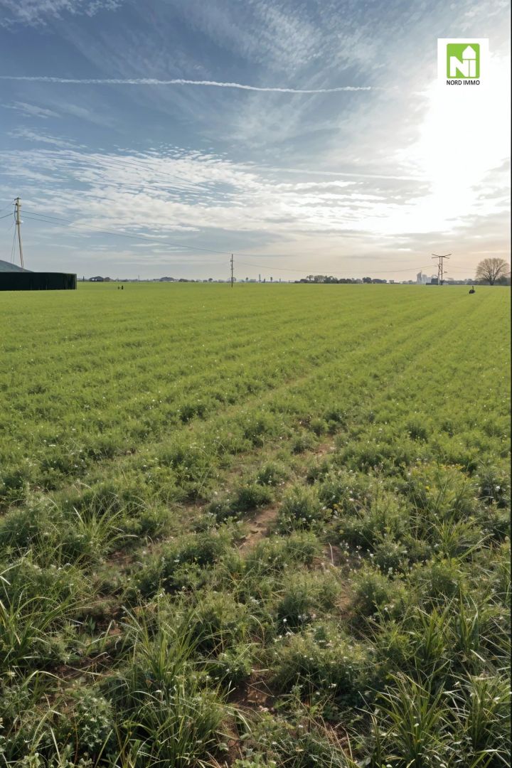 Agence immobilière de 
 Nord Immo - Nord Immo 
