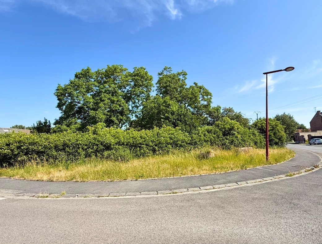 Agence immobilière de 
 Nord Immo - Nord Immo 
