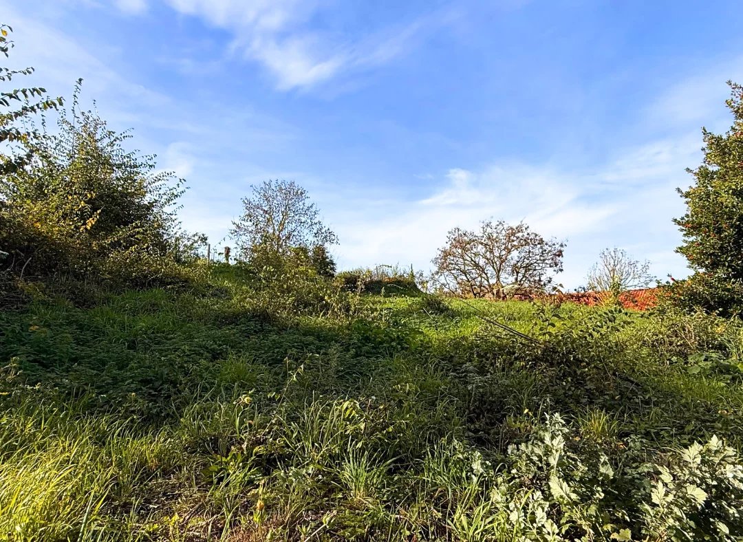 Agence immobilière de 
 Nord Immo - Nord Immo 
