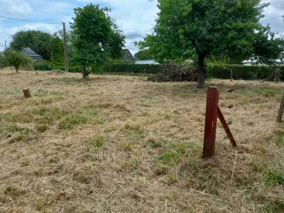 Photo Terrain Le Landin  1000 m2 image 3/3