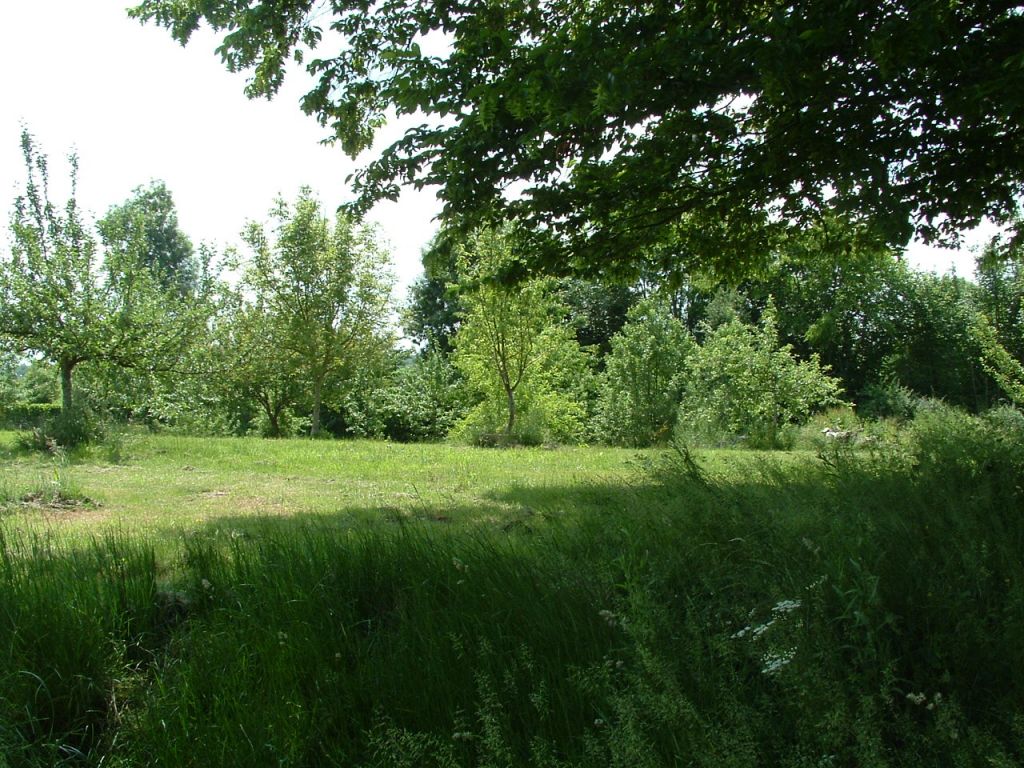 A vendre Terrain à
SAINT LEGER DU GENNETEY
(27520) A vendre Terrain à
SAINT LEGER DU GENNETEY
(27520)