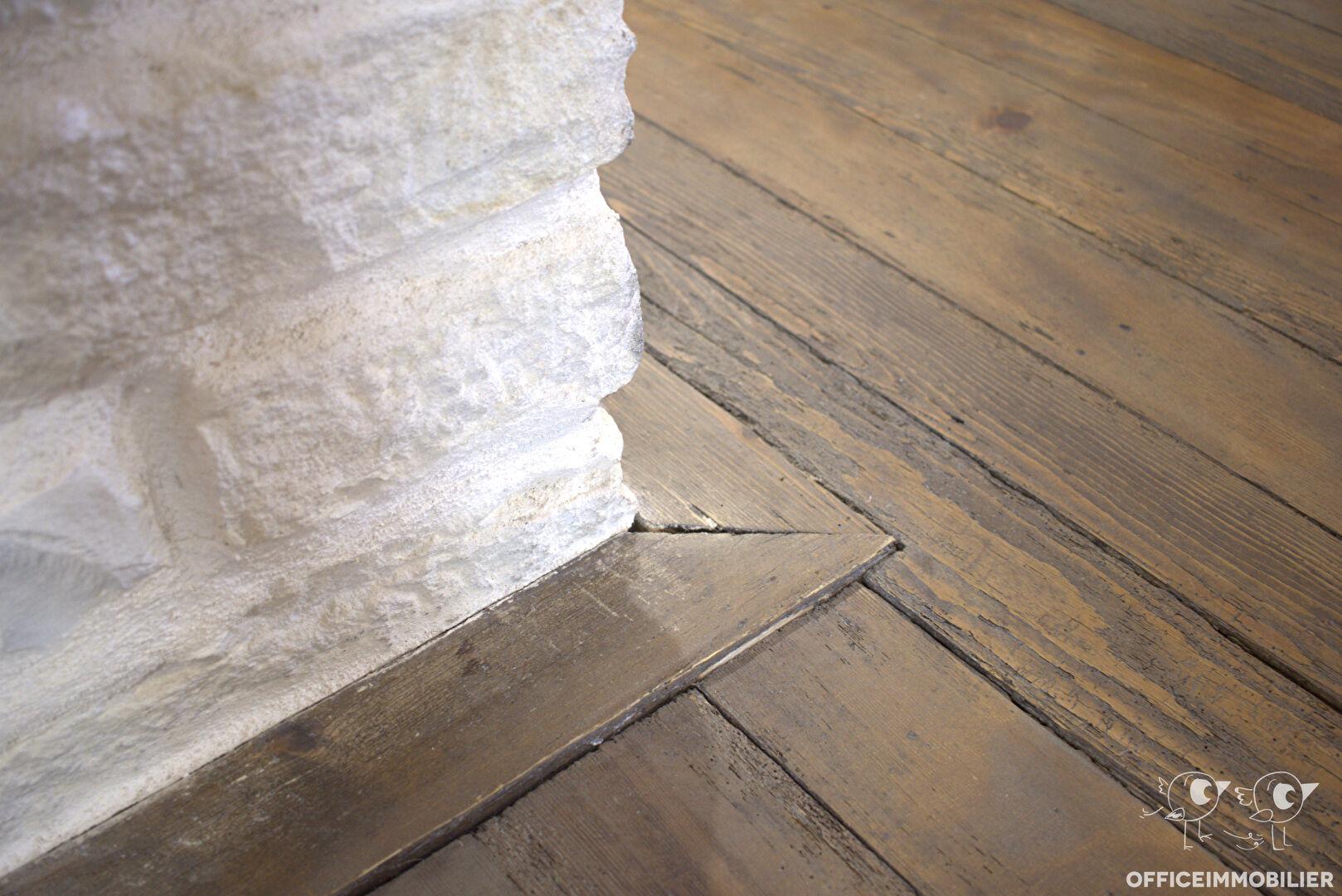 maison 380m² BESANCON - photo 12