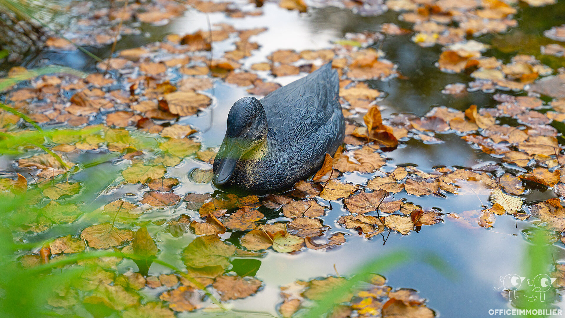 maison 250m² VORGES LES PINS - photo 3