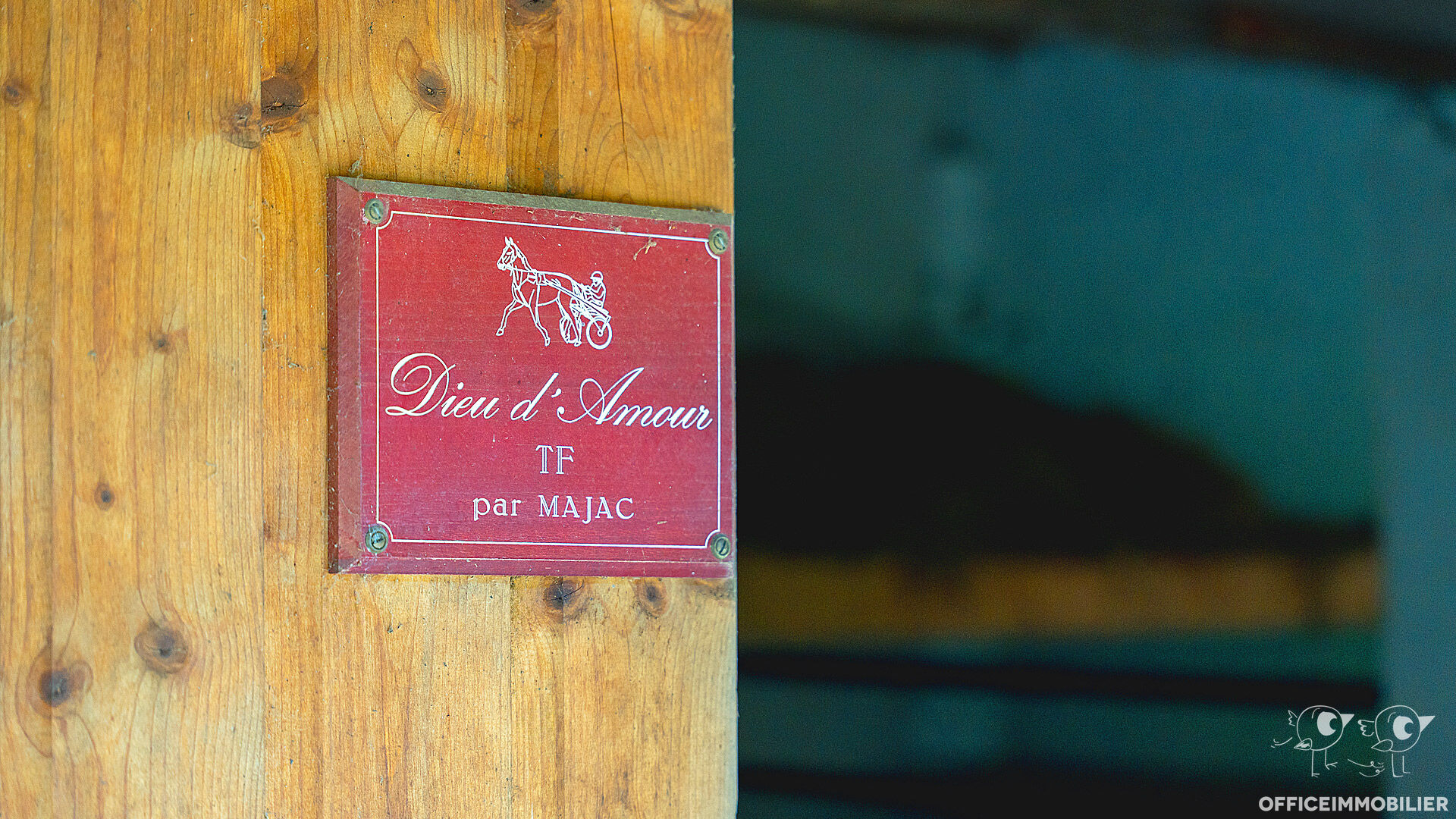 maison 250m² VORGES LES PINS - photo 8