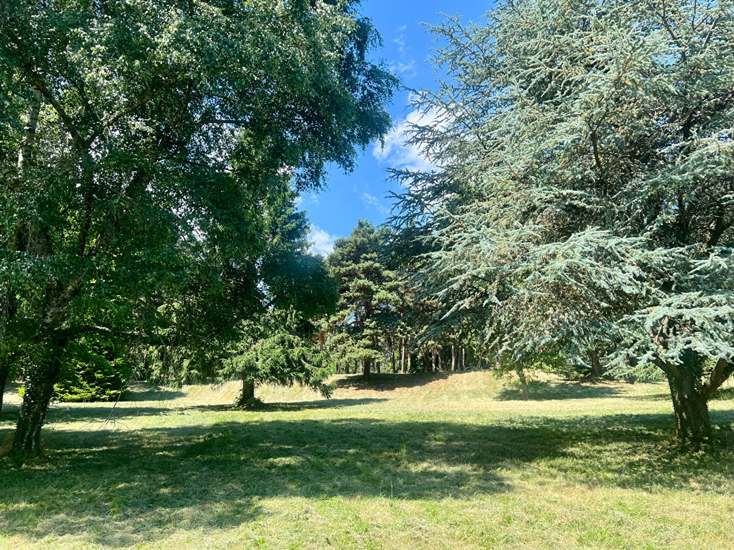 Photo SAINT-GENÈS-CHAMPANELLE / Villa exceptionnelle à 10 min de Clermont-Ferrand ! image 2/6