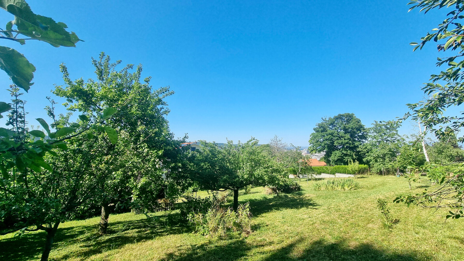 ROYAT / CHAMALIERES RUE DES MONTAGNARDS / Terrain constructible à vendre de 1 433 M² !