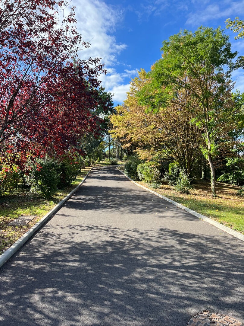 Photo Maison neuve de plain pied image 2/6