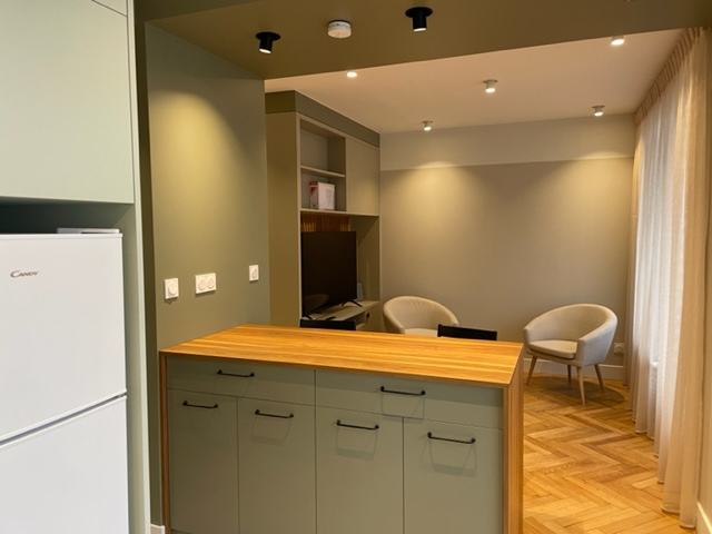 Photo T1 (bis )MEUBLE - RAVAT - LYON 2 image 2/6