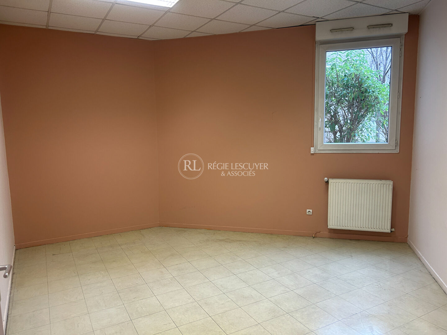 Photo LOCAL rue MONCEY Crs LAFAYETTE/ rue GARIBALDI image 5/6