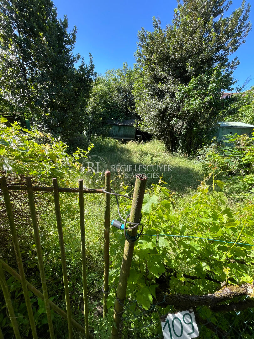 Photo T2 avec jardin image 1/6