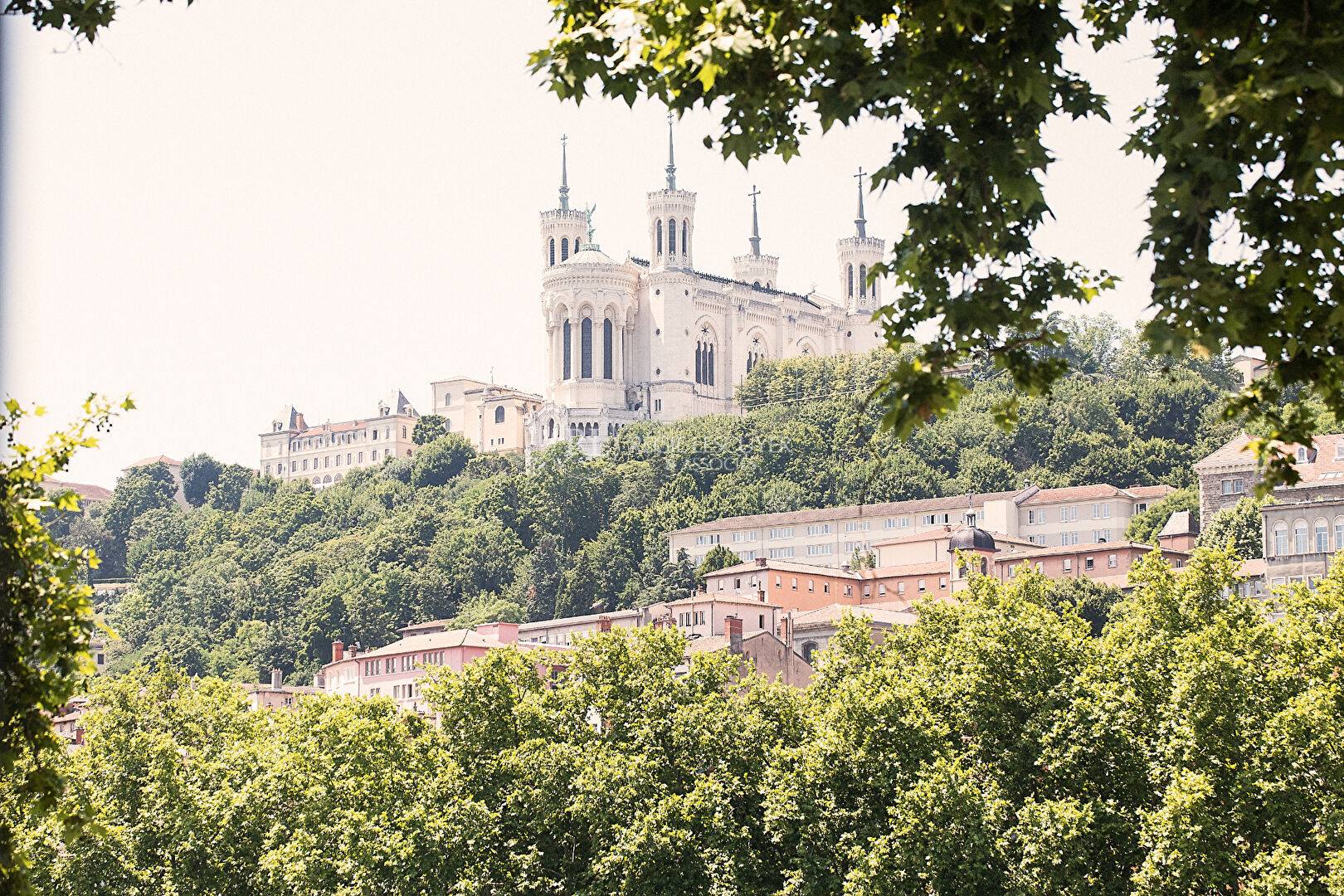 Agence immobilière de 
 REGIE LESCUYER ET ASSOCIES Lyon 6eme - REGIE LESCUYER ET ASSOCIES 

