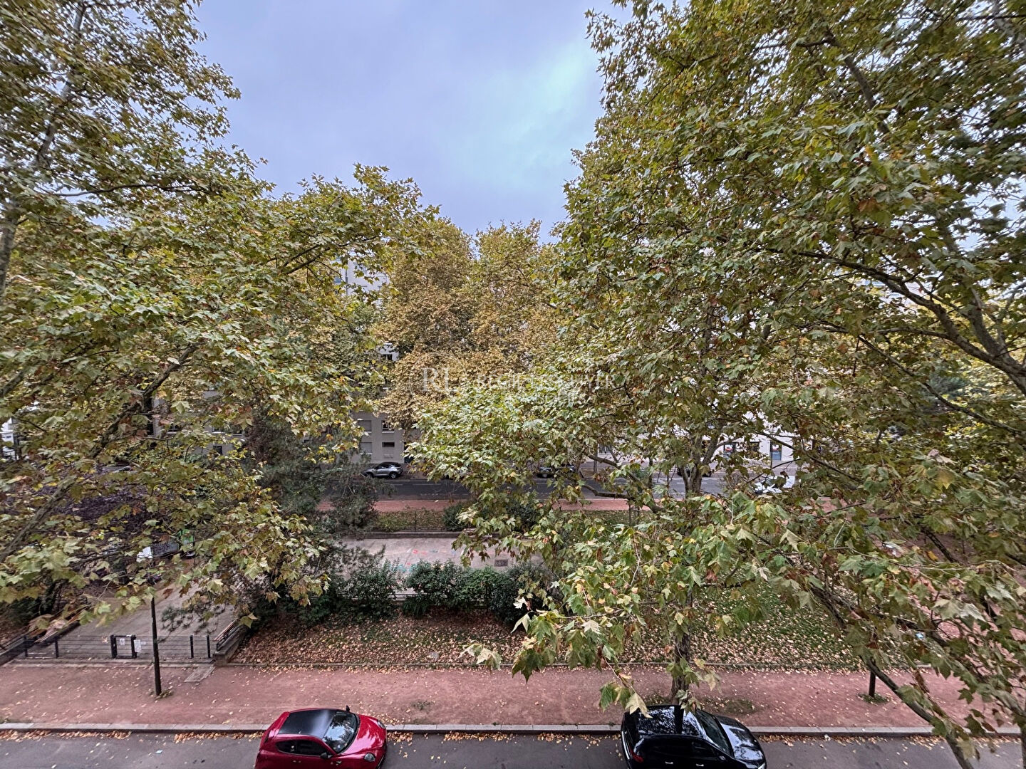 Agence immobilière de 
 REGIE LESCUYER ET ASSOCIES Lyon 6eme - REGIE LESCUYER ET ASSOCIES 
