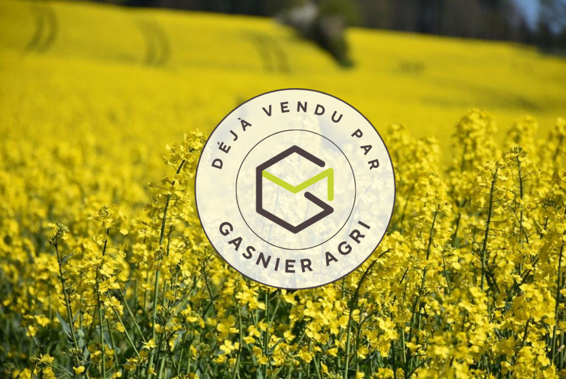 Agence immobilière de RENNES IMMOBILIER - VHL AGRI