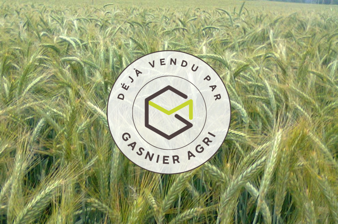 Agence immobilière de RENNES IMMOBILIER - VHL AGRI