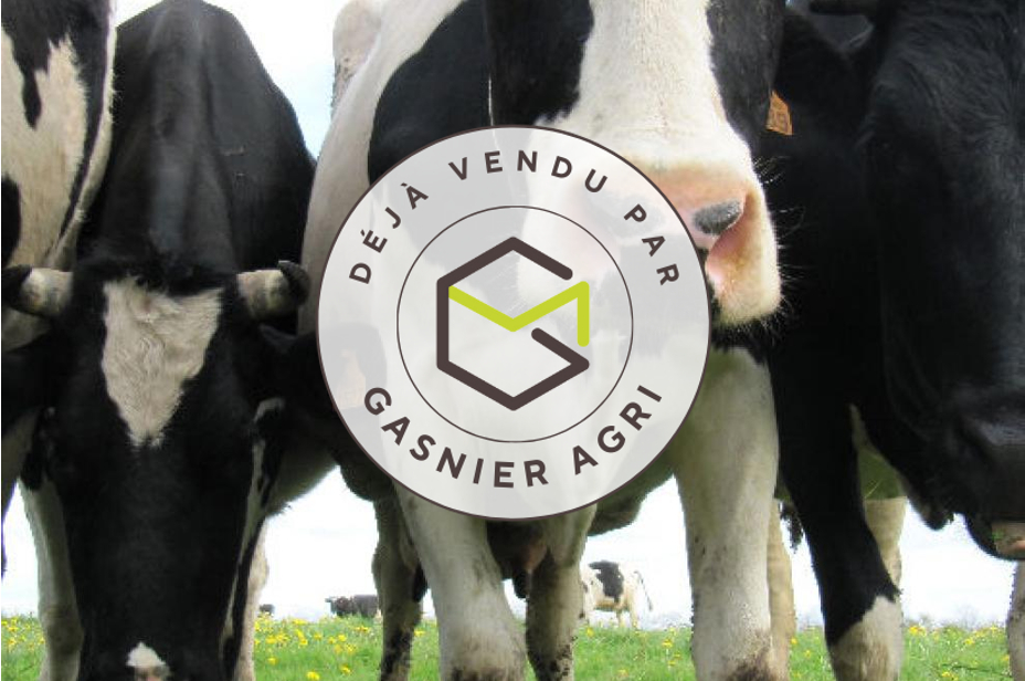 Agence immobilière de RENNES IMMOBILIER - VHL AGRI