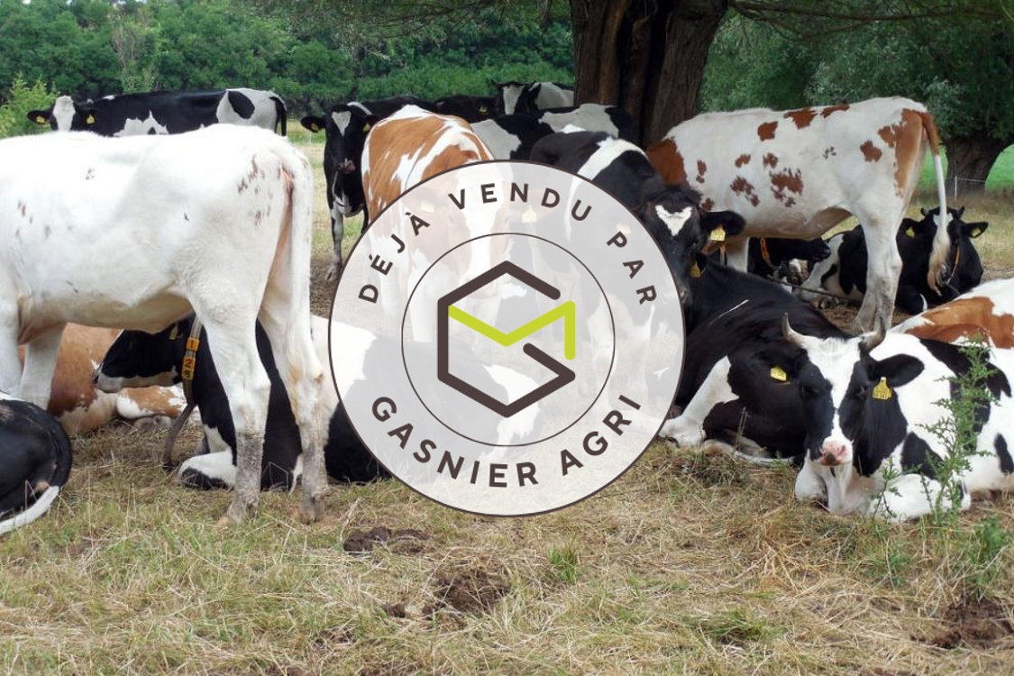 Agence immobilière de RENNES IMMOBILIER - VHL AGRI