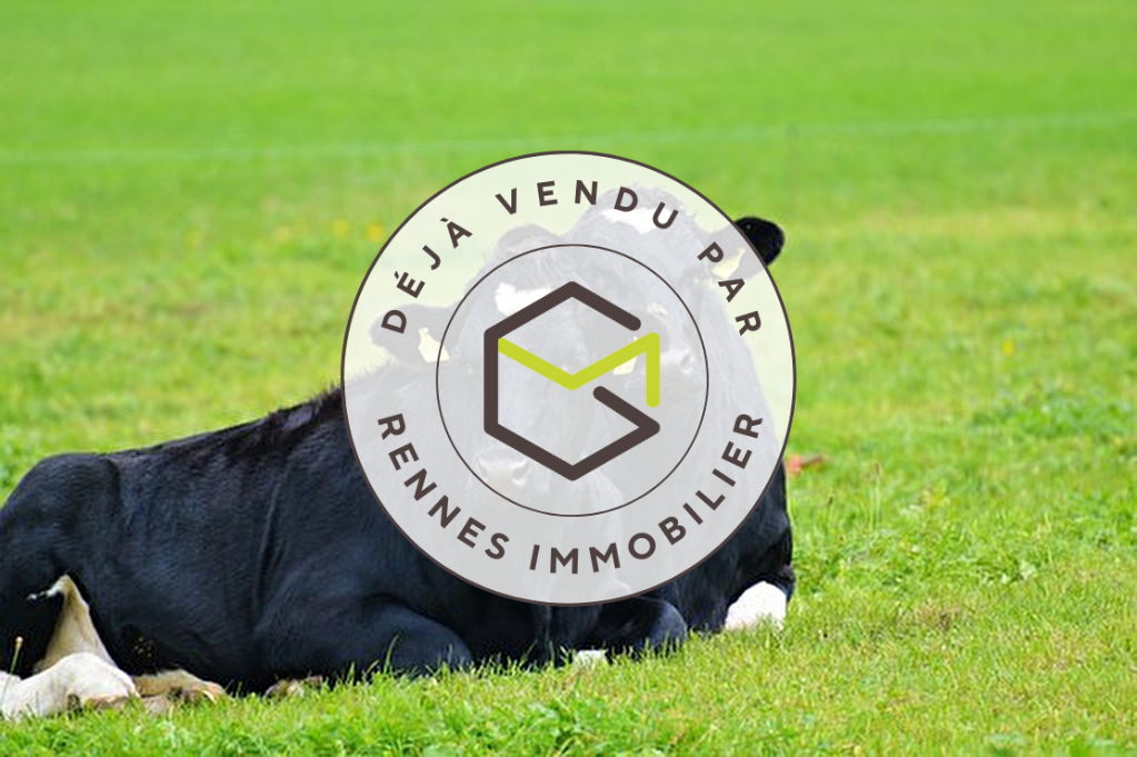 EXCLUSIVITE, VENDU, SUR LE DEPARTEMENT DE LA MANCHE, UNE TRES BELLE EXPLOITATION LAITIERE A VENDRE