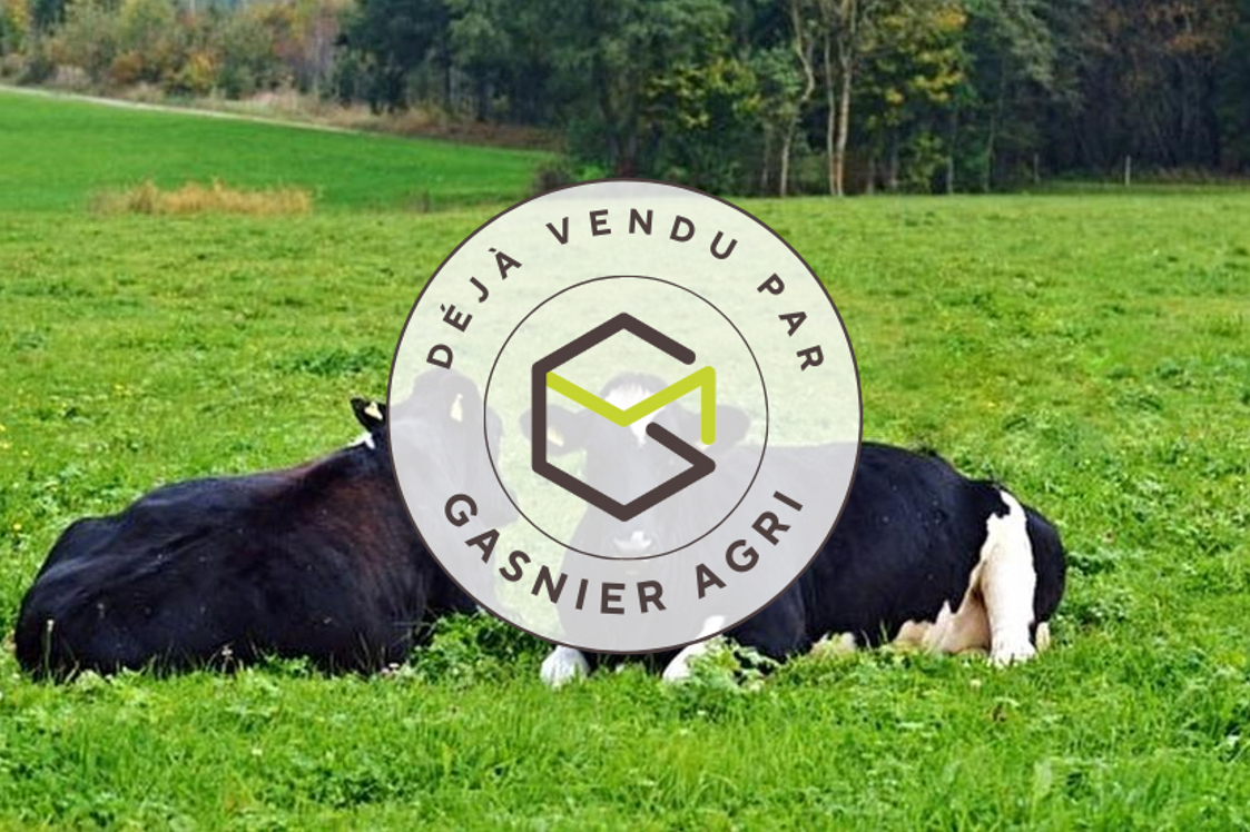 Agence immobilière de RENNES IMMOBILIER - VHL AGRI