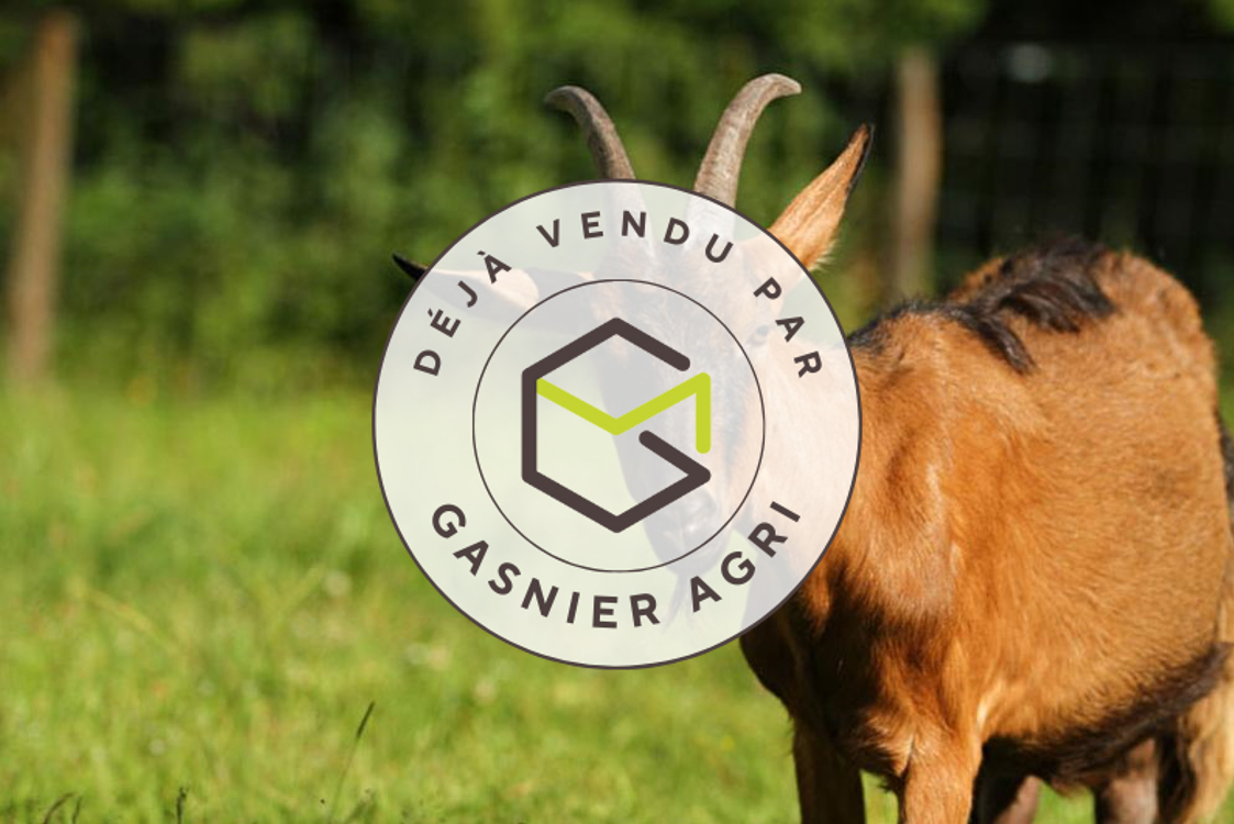 Agence immobilière de RENNES IMMOBILIER - VHL AGRI