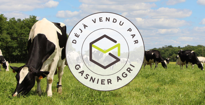 Agence immobilière de RENNES IMMOBILIER - VHL AGRI