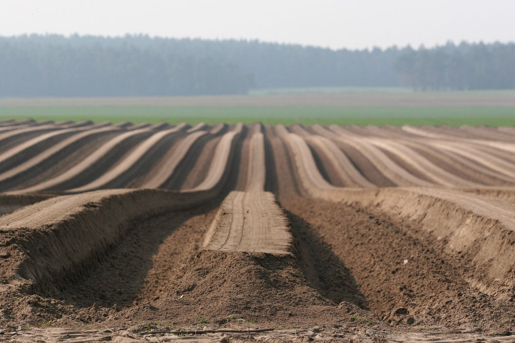 Agence immobilière de RENNES IMMOBILIER - VHL AGRI