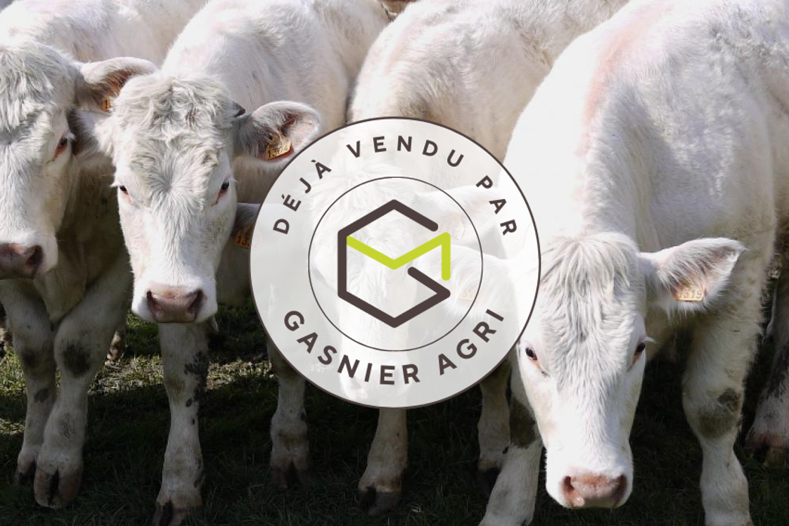 Agence immobilière de RENNES IMMOBILIER - VHL AGRI