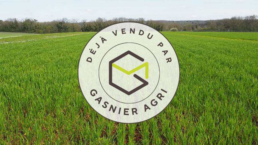 Agence immobilière de RENNES IMMOBILIER - VHL AGRI