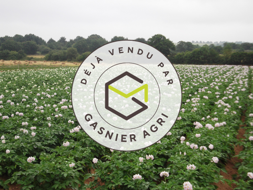 Agence immobilière de RENNES IMMOBILIER - VHL AGRI