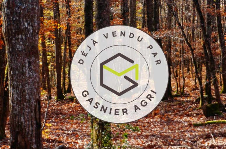 Agence immobilière de RENNES IMMOBILIER - VHL AGRI