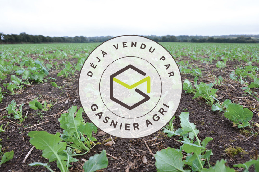 Agence immobilière de RENNES IMMOBILIER - VHL AGRI