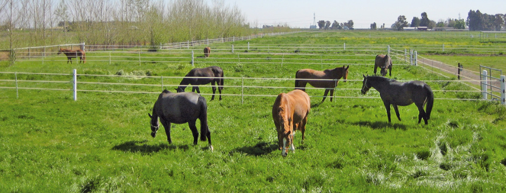 Agence immobilière de RENNES IMMOBILIER - VHL AGRI