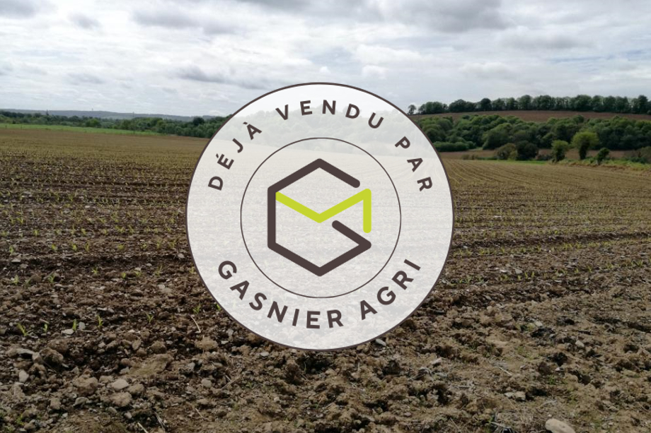 Agence immobilière de RENNES IMMOBILIER - VHL AGRI